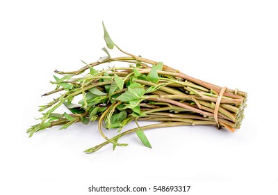 Water spinach , Morning Glory on white background - Shutterstock ID 548693317