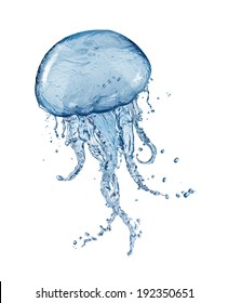 Water splash jellyfish