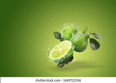 Water splashing on Bergamot fruit on green background.