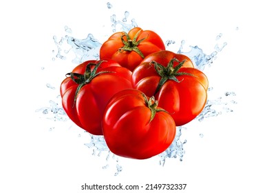 Water splashing on fresh pachino red tomatoes over white background.