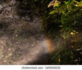 Water Spray Rainbow Color Bright