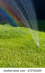 Water Is Sprayed From The Watering Hose Onto The Green Luscious Grass In The Middle Of The Lawn On A Hot, Sunny Summer Day, A Watering System, A Rainbow
