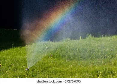 Water Is Sprayed From The Watering Hose Onto The Green Luscious Grass In The Middle Of The Lawn On A Hot, Sunny Summer Day, A Watering System, A Rainbow
