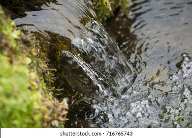 Water Spring Flowing Into Pool