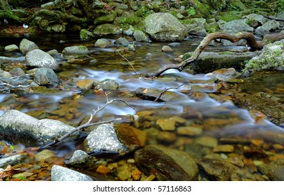 water spring in forest