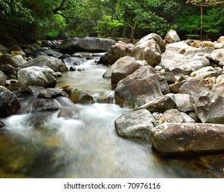 water spring in forest