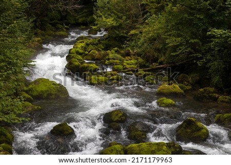 Water Spring of Small Alpine River Gljun near town of Bovec in Slovenian Julian Apls
