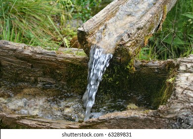 Water Spring With Wooden Channel.