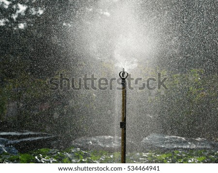 Water Springer in garden