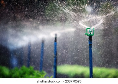 Water Sprinkler In Garden