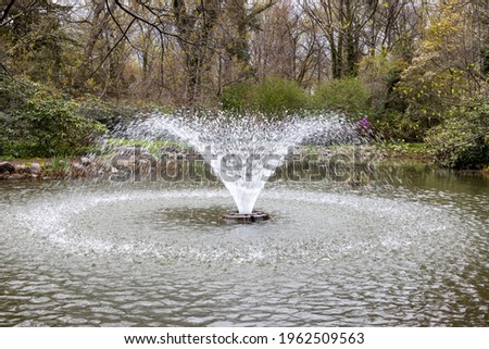 Similar – Image, Stock Photo Fog in a garden Garden