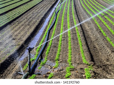 18,805 Farming sprinkler Images, Stock Photos & Vectors | Shutterstock