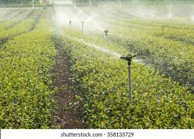 Irrigation System On Large Farm Field Stock Photo (Edit Now) 83249836