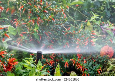 Water Sprinklers Running In A Garden With A Variety Of Flowers