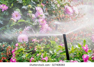 Water Sprinklers Running In A Garden With A Variety Of Flowers