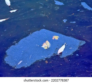 Water Stagnation At End Of Summer. Iron Oxide Film. Yellow Leaves Float On The Surface