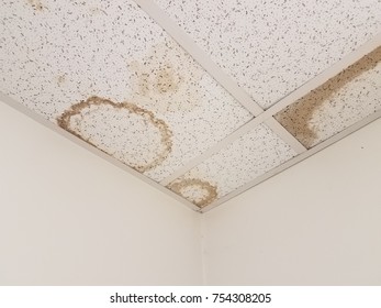 Stained Ceiling Images Stock Photos Vectors Shutterstock