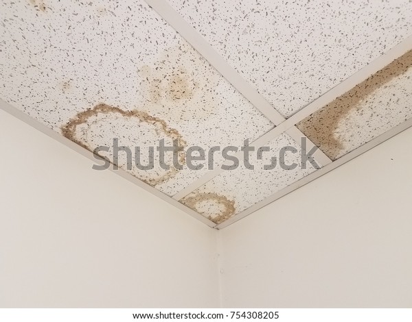 Water Stain On Ceiling Stock Photo Edit Now 754308205