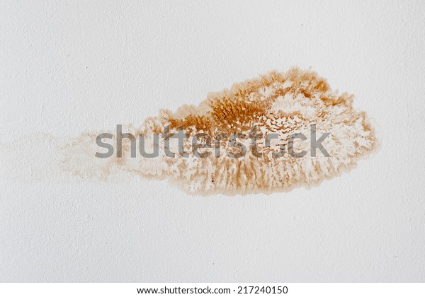 Water Stain On Ceiling Old House Stock Photo Edit Now 217240150