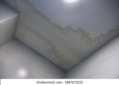 Water stain on the home ceiling.  Concept of condensation, damp, water infiltration, high humidity and respiratory problems. 