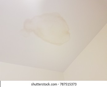 Water Stain Images Stock Photos Vectors Shutterstock