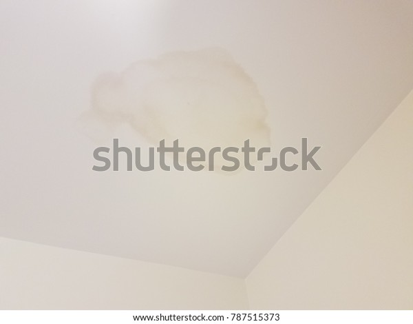 Water Stain On White Ceiling Stock Photo Edit Now 787515373