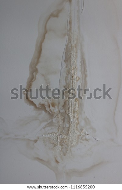 Water Stained Wall Ceiling Stock Image Download Now