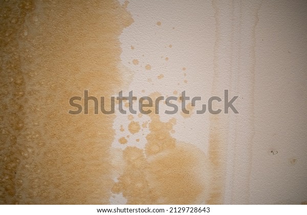Water stains from a leak above show in a ceiling\
with mottled texture on sheetrock, an interesting rough and grungy\
background texture.