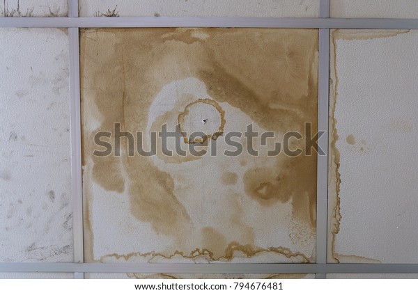 Water Stains On Ceiling Caused By Stock Photo Edit Now