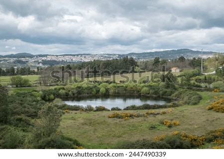 Water storage lake surrounded by bush and pine forest and a village in the background on a very cloudy day