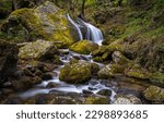 The water of the stream flows over mossy stones. Forest stream waterfall. Waterfall stream on mossy rocks. Mossy forest waterfall stream