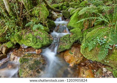 Similar – Image, Stock Photo River trough forest