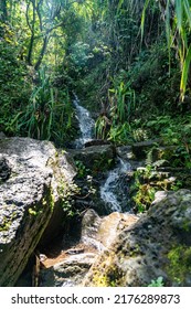 Water stream at the Nā Pali Coast State Wilderness Park