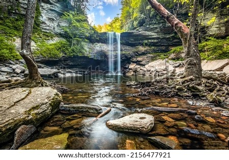 Water stream of waterfall cascade in nature forest landscape