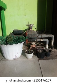 A Water Suction Machine That Is In The House With Flower Pots Around It.