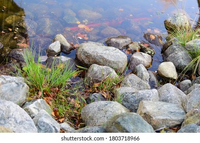 Water surface background with reflection.