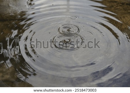 Water surface with bubbles and concentric circles created by raindrops. raindrops on water background abstract circles rain ripples