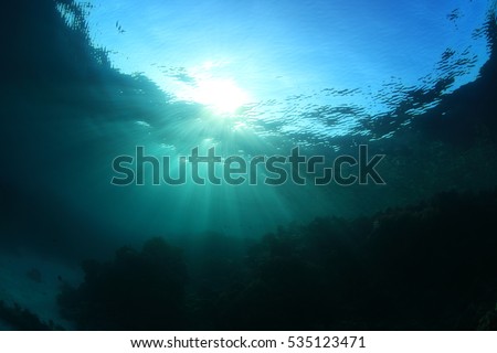 Water surface and coral reef with sunlight underwater in the ocean