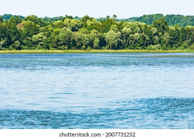 Water Surface And Dense Forest On The Horizon.