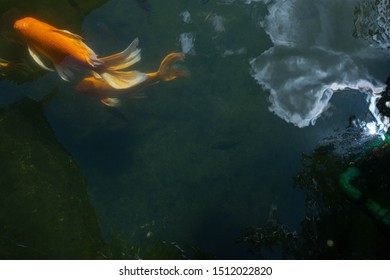 Fish Fountain High Res Stock Images | Shutterstock