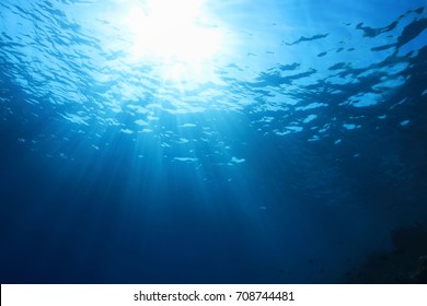 underwater sunlight wallpaper