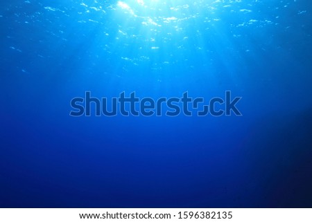 Water surface and sunlight underwater in the ocean