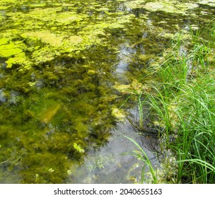 848 Water silt pattern Images, Stock Photos & Vectors | Shutterstock