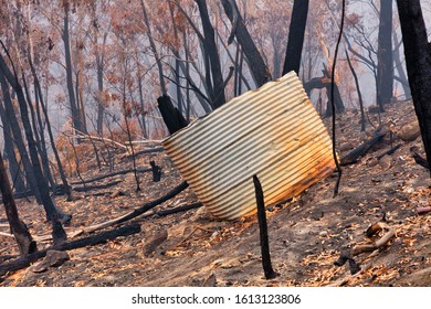 A Water Tank And Gum Trees Burnt By Bushfire In The Blue Mountains In Australia