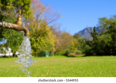 Water Tap In Park. Shot In August In Jan Marais Nature Reserve, Stellenbosch, South Africa.