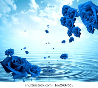 3 Flowers On Blue Water Images Stock Photos Vectors Shutterstock