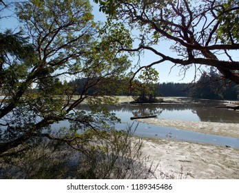 Water through the trees