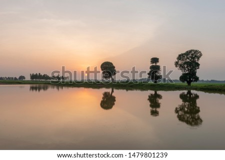 Water and Tree reflections during Sunset near paddy fileds of Kotpad,Odisha,India