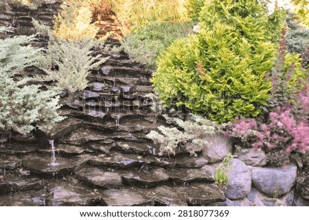Water trickling down stone steps between plants