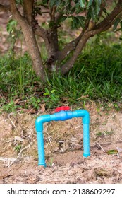 Water valve connect to PVC pipe. valve for agriculture PVC water pipes. Plastic hose and valve of sprinkler system in a garden.